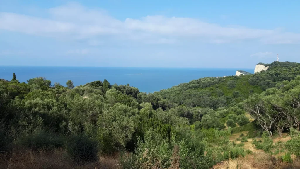 corfu cape drastis dense olive vegetation 1920w 1024x576