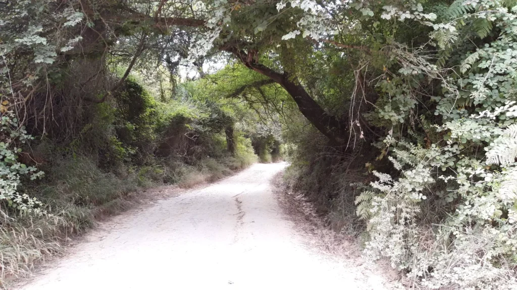corfu cape drastis shady dirt road to the beach 1920w 1024x576