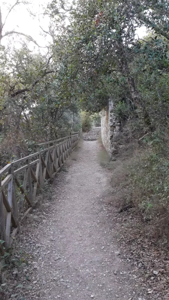corfu rovinia beach path 1920w 576x1024