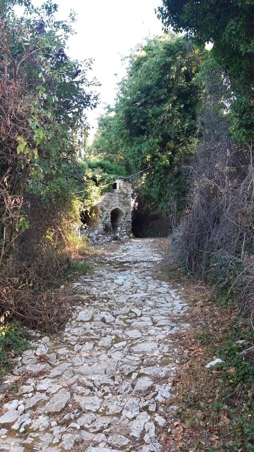 Ένα στενό, λιθόστρωτο μονοπάτι ξετυλίγεται μέσα από μια κατάφυτη, δασώδη περιοχή. Το μονοπάτι είναι φτιαγμένο από ακανόνιστες, ανοιχτόχρωμες πέτρες και πλαισιώνεται και από τις δύο πλευρές από πυκνούς, πράσινους θάμνους και δέντρα, ενώ στα δεξιά ξεχωρίζουν γυμνές, στριφτές κληματόβεργες. Στο βάθος, μια μικρή πέτρινη καμάρα, μέρος ενός ερειπωμένου κτίσματος, πλαισιώνεται από τη βλάστηση. Ο ήλιος λάμπει και το φως που πέφτει πάνω στο μονοπάτι δημιουργεί μια γαλήνια, απομονωμένη ατμόσφαιρα.