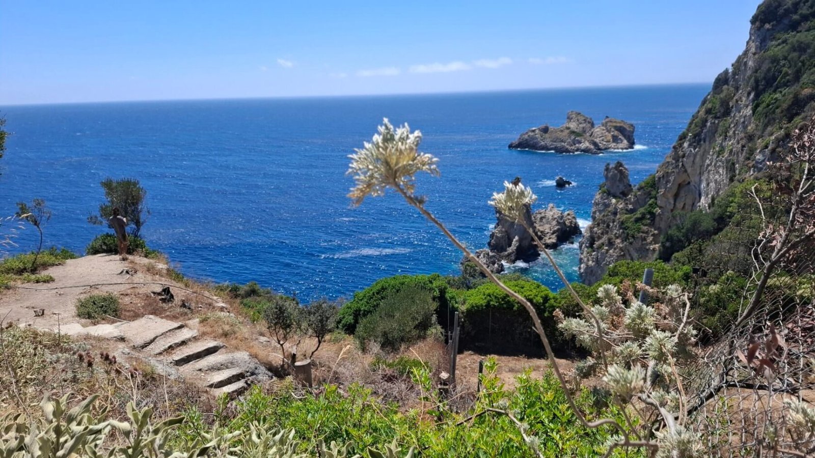 Steps lead down a rocky hillside with dry plants and shrubs toward a vivid blue sea. Cliffs and rock formations rise from the water under a clear, sunny sky. A blurred flower stalk is in the foreground.